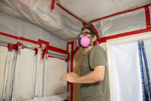 Best Airborne Mold Testing  in Tremonton, UT
