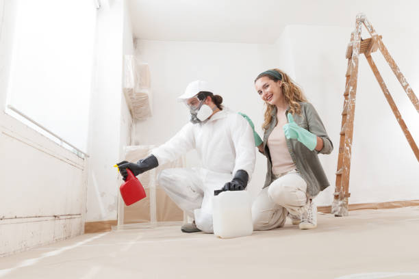 Best Crawl Space Mold Remediation  in Tremonton, UT