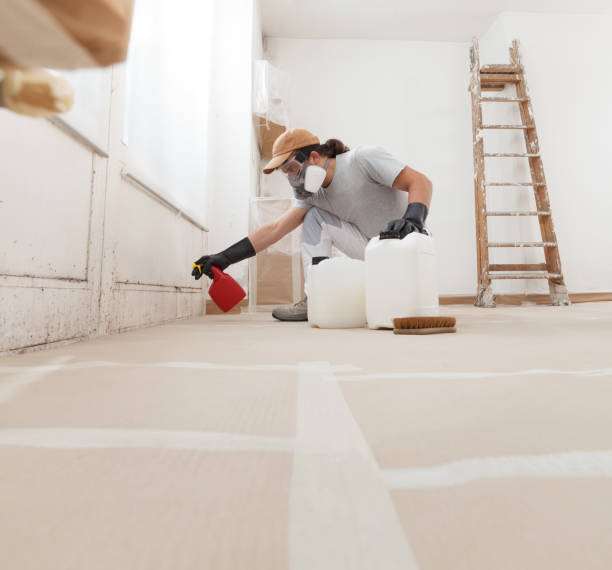 Best Asbestos and Lead Testing During Mold Inspection  in Tremonton, UT